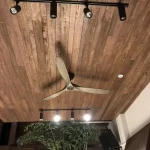 Ceiling Fan - Eagle GWO