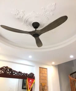 Ceiling Fan - Eagle GWO