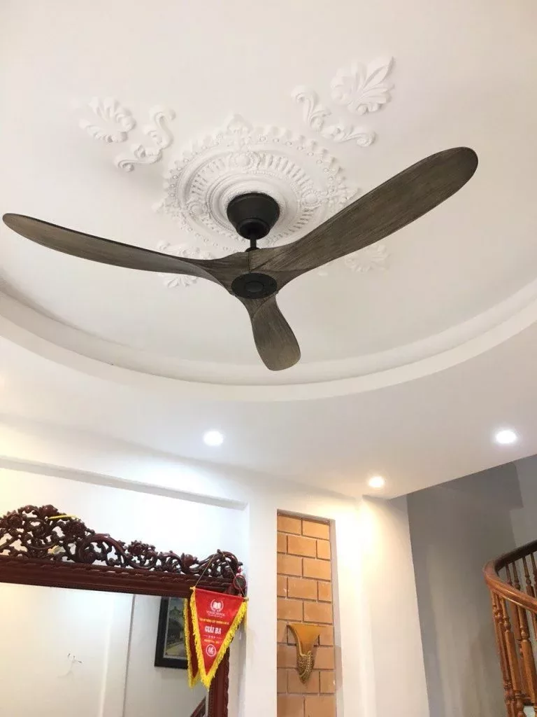 Ceiling Fan - Eagle GWO