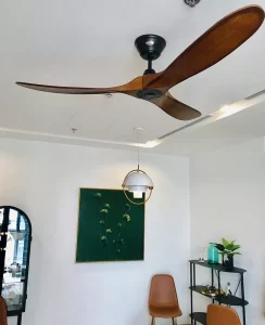 Ceiling Fan - Eagle GWO