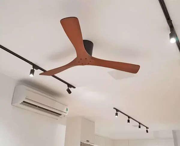 Ceiling Fan - Elegant
