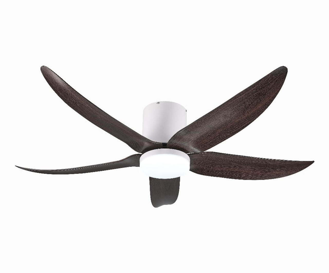 Modern ceiling fan in Singapore: Where functionality and aesthetic meet