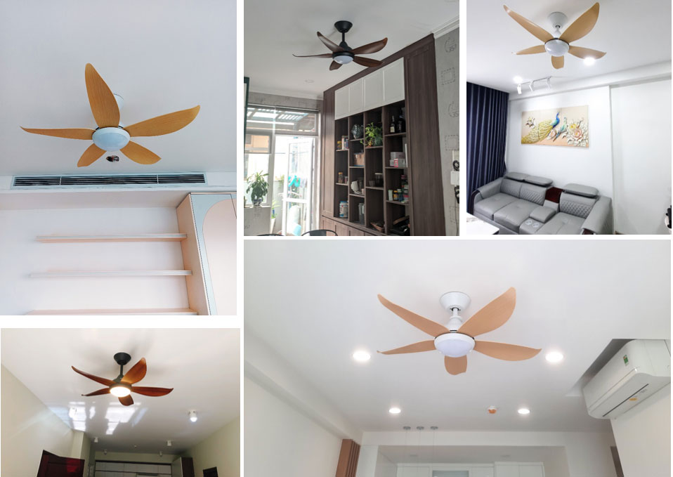 Mr Vu CORA Ceiling Fan