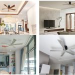 Everything you need to know about Mr.Vu's decorative ceiling fan