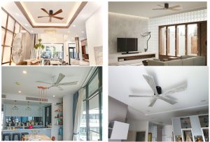 Everything you need to know about Mr.Vu's decorative ceiling fan