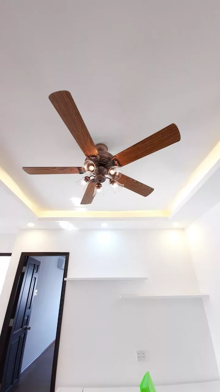 The Evolution of the Mr. Vu Lotus Ceiling Fan (6)