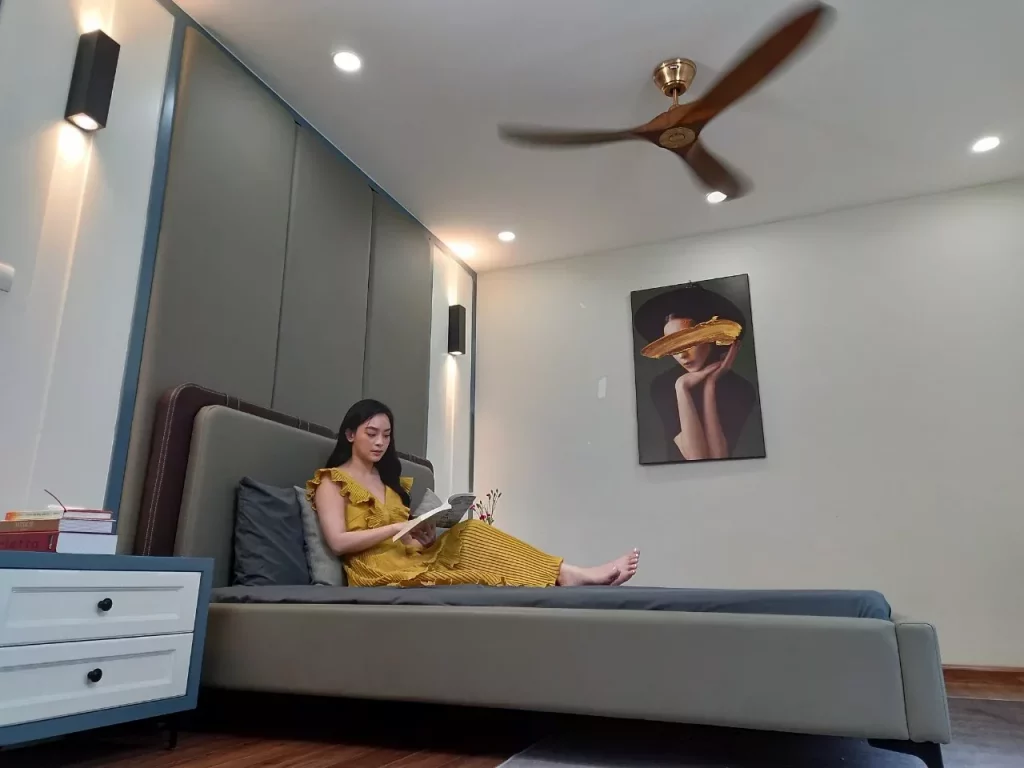 Unleash Abundance and Attract Prosperity with the Power of Feng Shui Ceiling Fans (1)