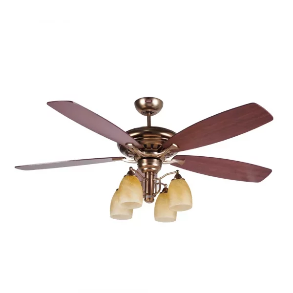 Legend ceiling fan (17)