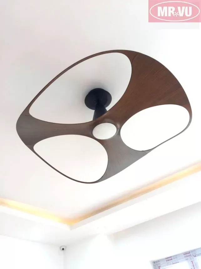 Ceiling Fan - Swish Home Decorative with Unique Blade Design