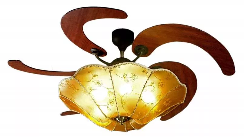 The Belle ceiling fan, with its 5 rotating blades, unfolds like a blooming flower, combined with warm LED lights, enhancing the decoration of the homeowner's room.