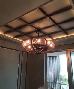 Unique Modern Ceiling Fan Indoor Lighting Bedroom Living Room (1)