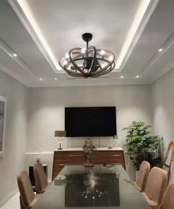 Unique Modern Ceiling Fan Indoor Lighting Bedroom Living Room (1)