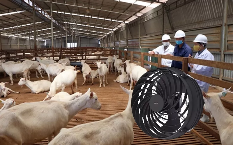 Popular Industrial Fan KOSMO-10